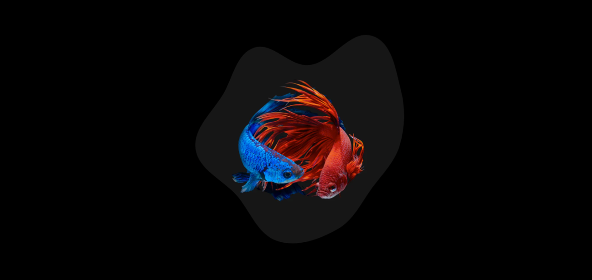 slider image slider_item_egcC77